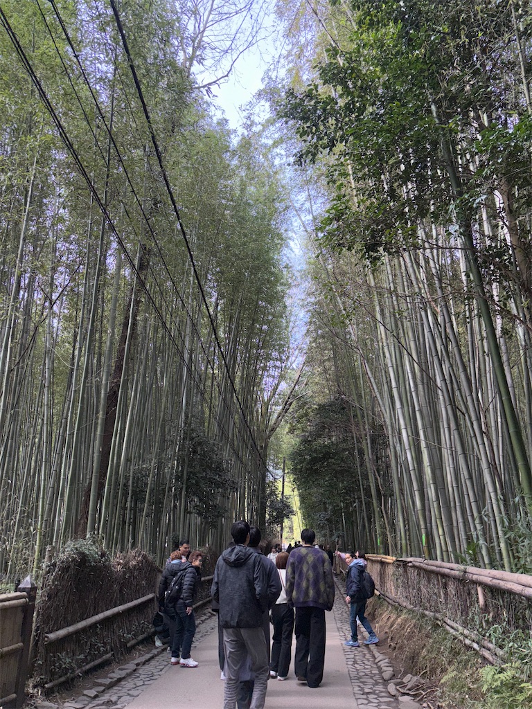 f:id:urashimamimi:20250317135809j:image