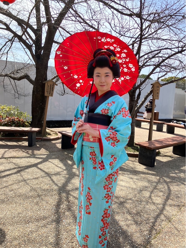 f:id:urashimamimi:20250317142131j:image
