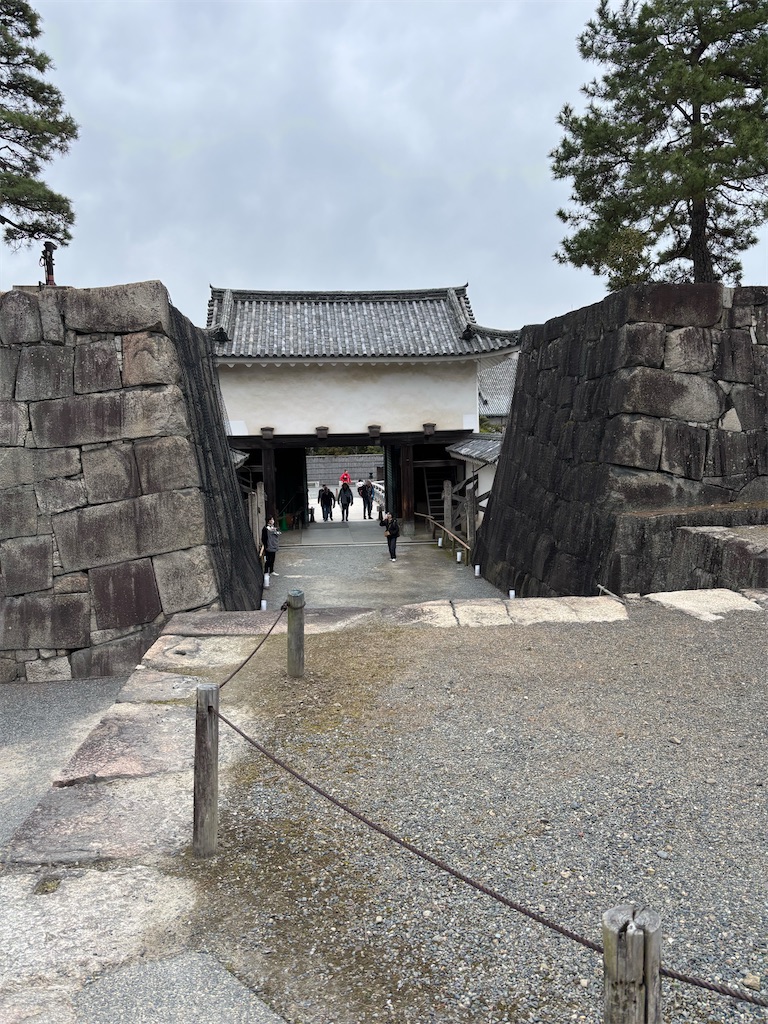 f:id:urashimamimi:20250321210044j:image