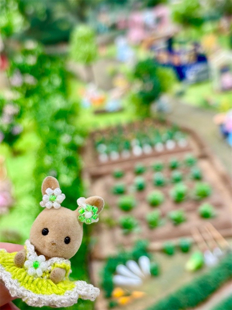 f:id:urashimamimi:20250517150932j:image