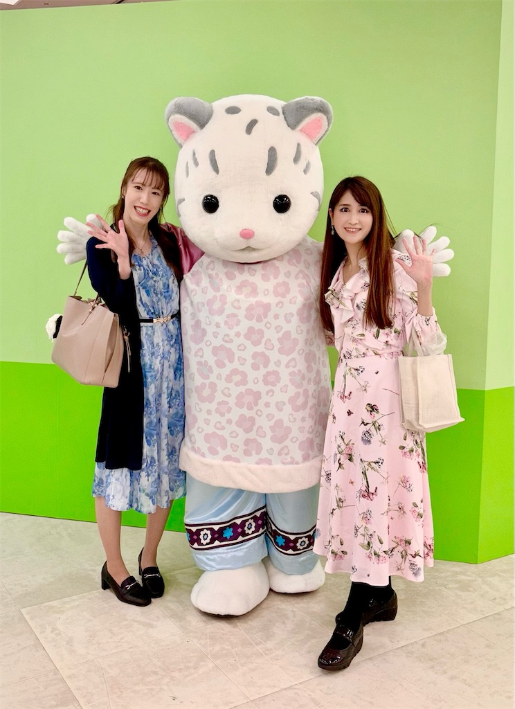 f:id:urashimamimi:20250518122457j:image
