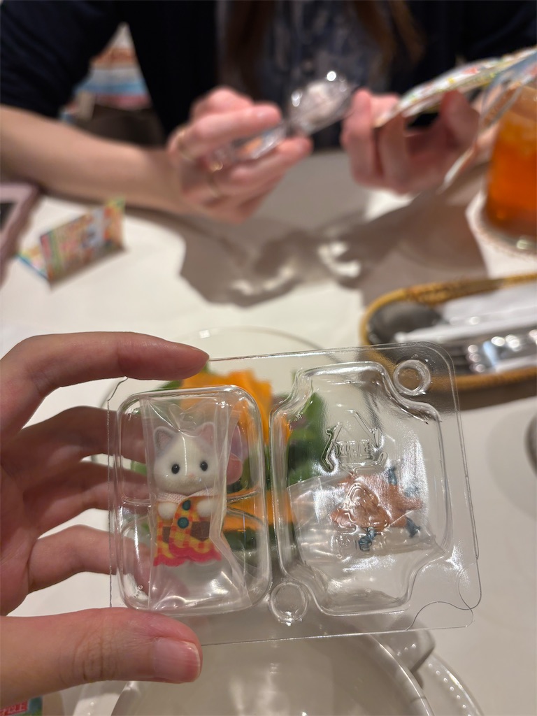 f:id:urashimamimi:20250518122545j:image