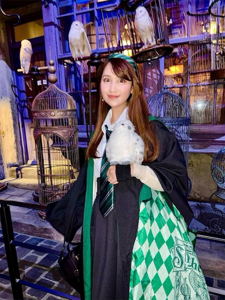 f:id:urashimamimi:20250624204737j:image