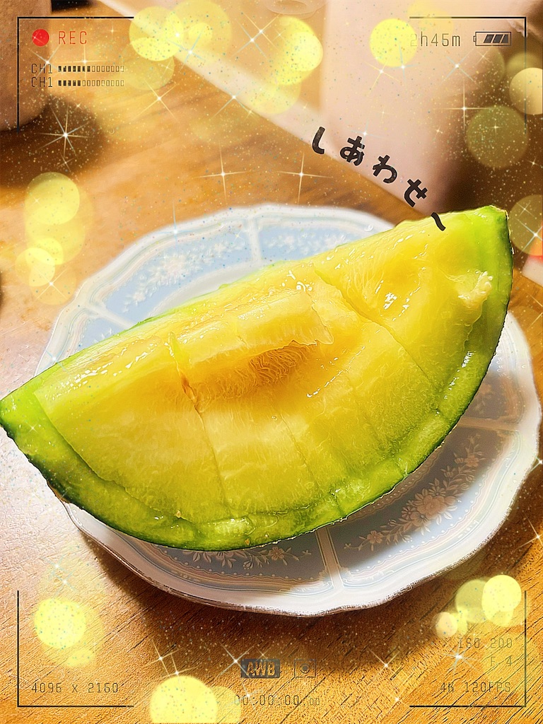 f:id:urashimamimi:20250628005330j:image