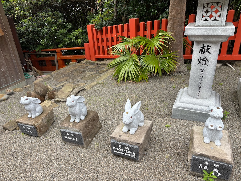 f:id:urashimamimi:20251119133737j:image f:id:urashimamimi:20251119133737j:image