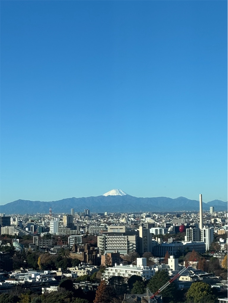 f:id:urashimamimi:20251217082809j:image