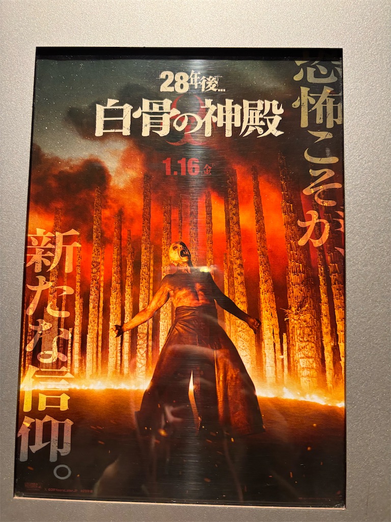 f:id:urashimamimi:20260125142151j:image