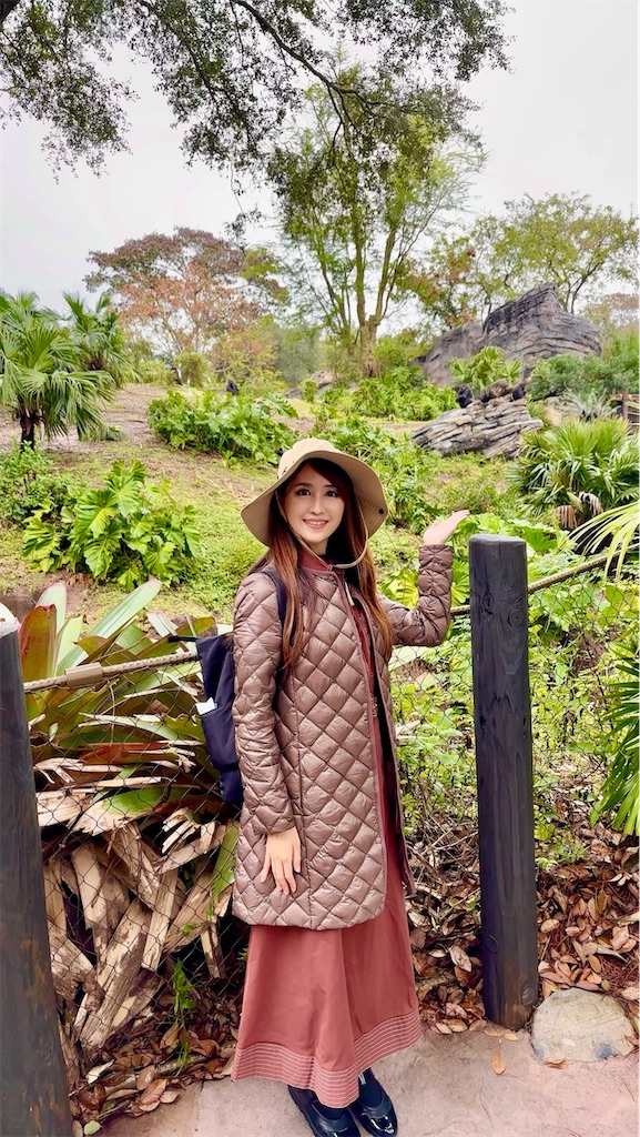 f:id:urashimamimi:20260125190257j:image