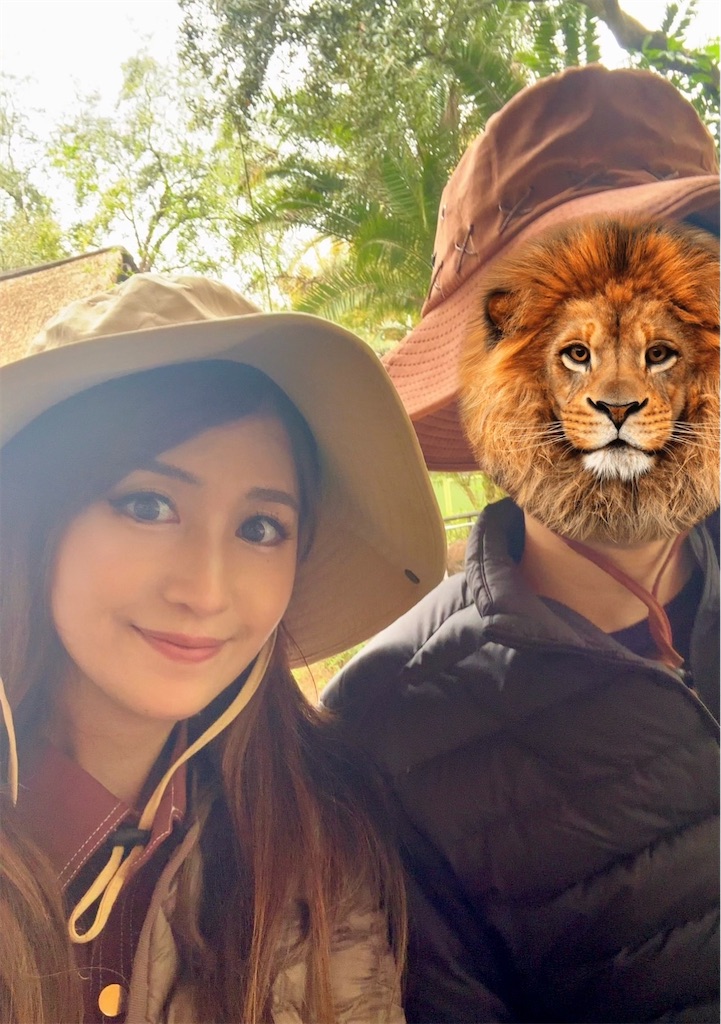 f:id:urashimamimi:20260125212914j:image