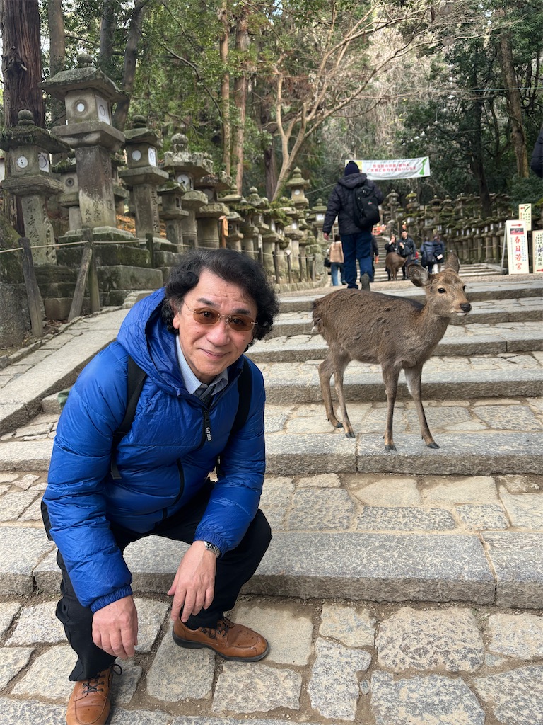 f:id:urashimamimi:20260218142047j:image