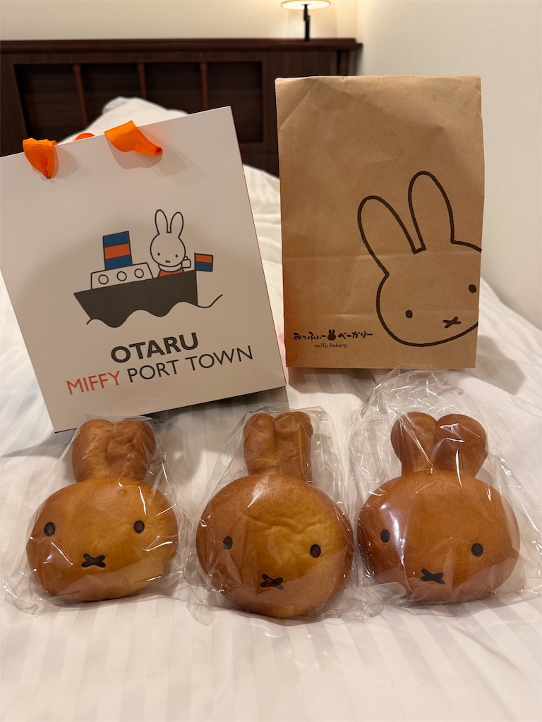 f:id:urashimamimi:20260602234434j:image