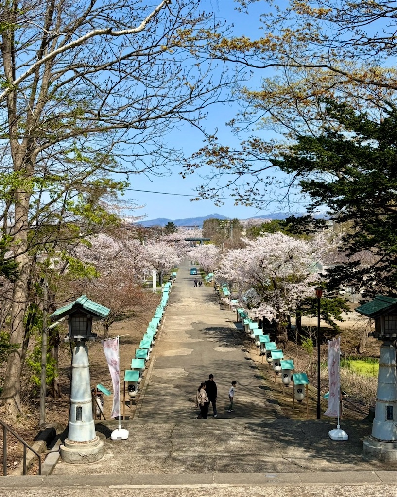 f:id:urashimamimi:20260603142638j:image