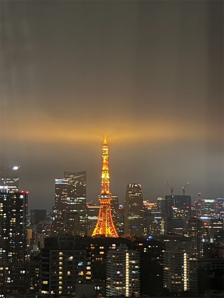 f:id:urashimamimi:20260623101200j:image