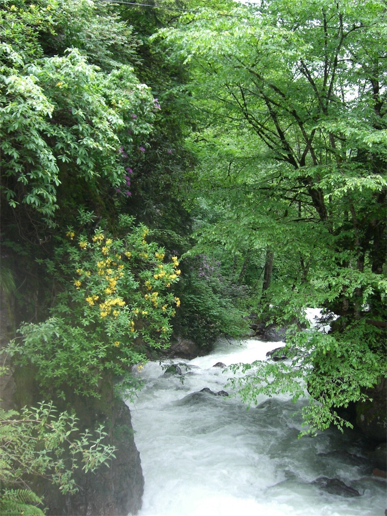 f:id:urban-dog:20190508073550j:image f:id:urban-dog:20190508073550j:image
