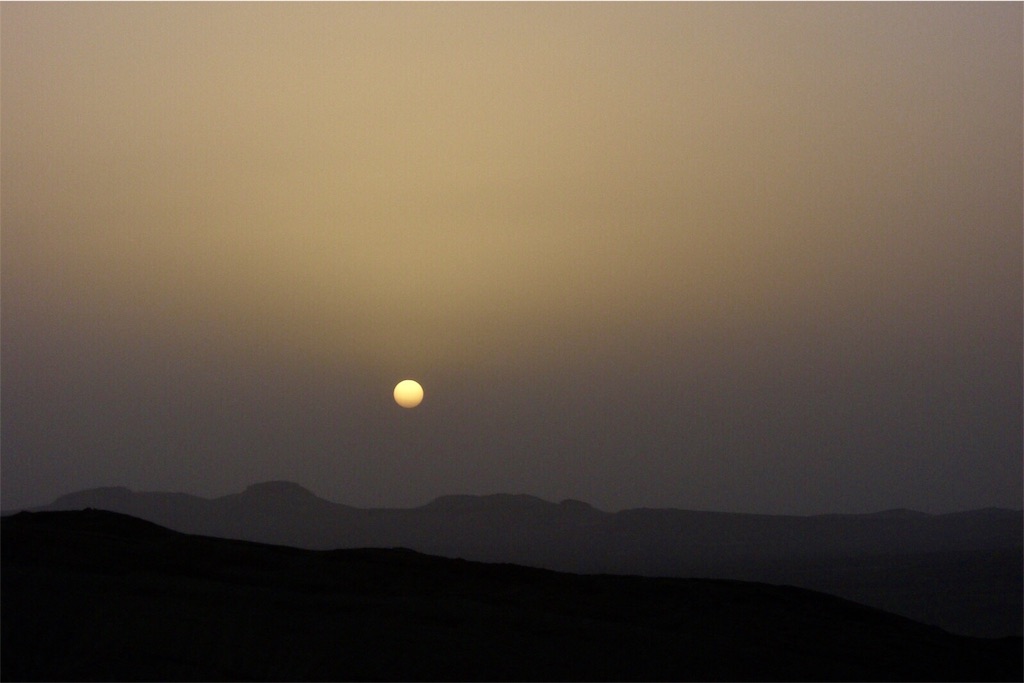 f:id:urban-dog:20190530145538j:image