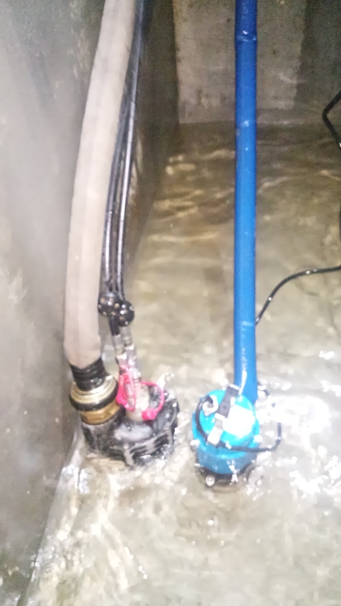 f:id:urban1:20190502151028j:plain f:id:urban1:20190502151028j:plain