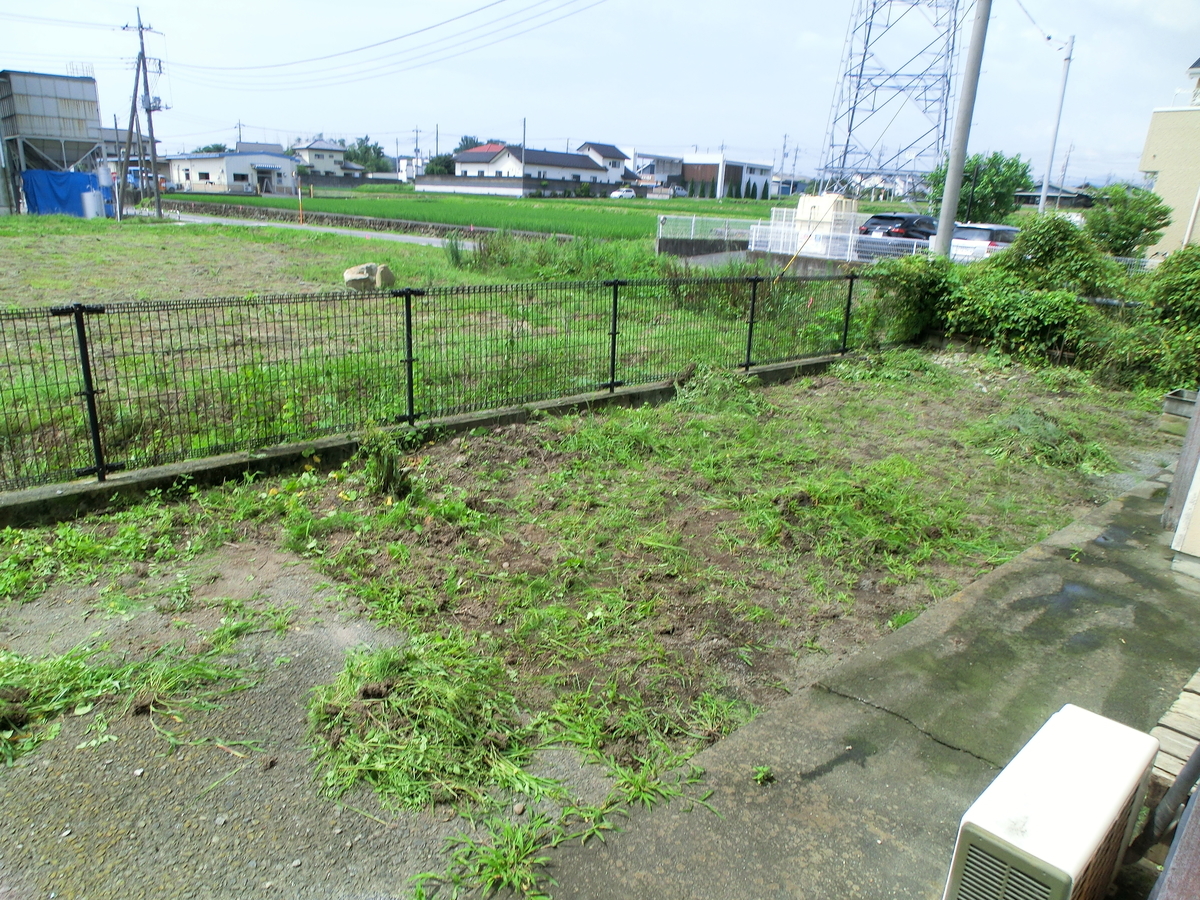 f:id:urbanforshio:20200720111923j:plain f:id:urbanforshio:20200720111923j:plain