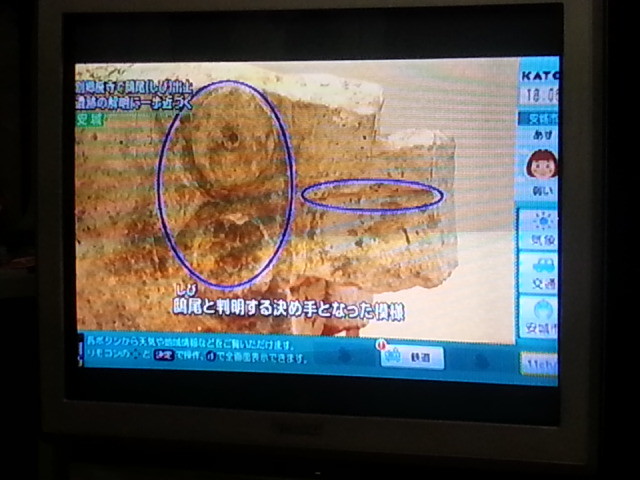 20131004 18:06 別郷廃寺 出土 鴟尾 04