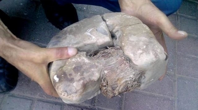 コソボでみつかった古代の変圧器 (1) 640-358