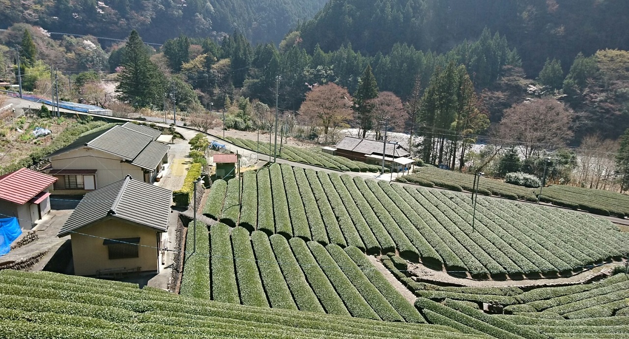 2018.3.28 井川線 (23) 井川いき列車 - 川根小山-奥泉間 1280-690