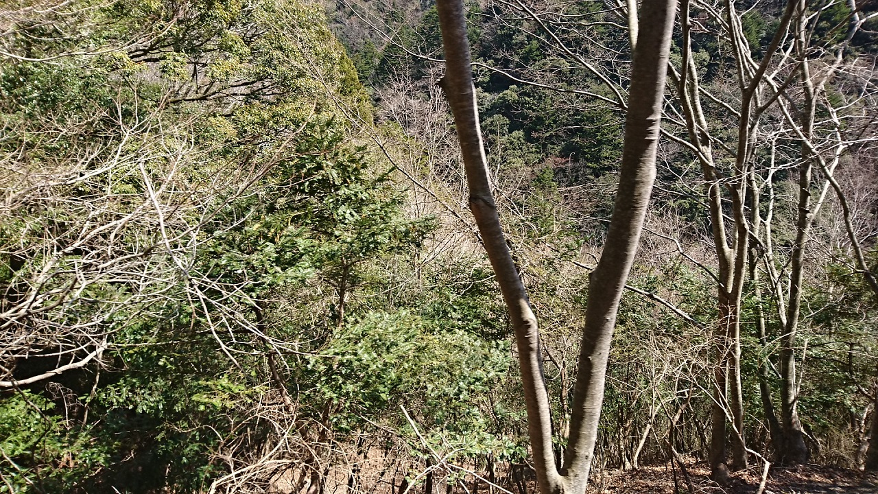 2018.3.28 井川線 (85) 井川いき列車 - 尾盛-閑蔵間 1280-720