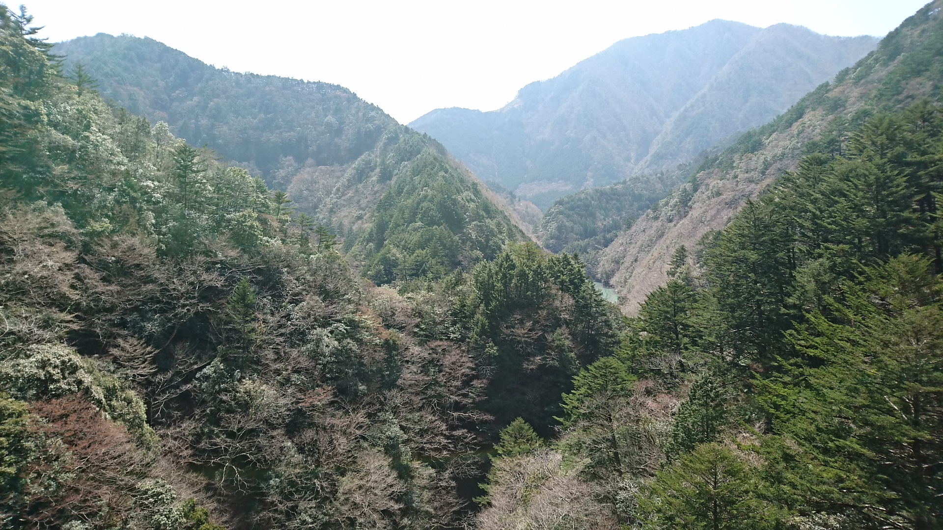 2018.3.28 井川線 (90) 井川いき列車 - 尾盛-閑蔵間 1920-1080