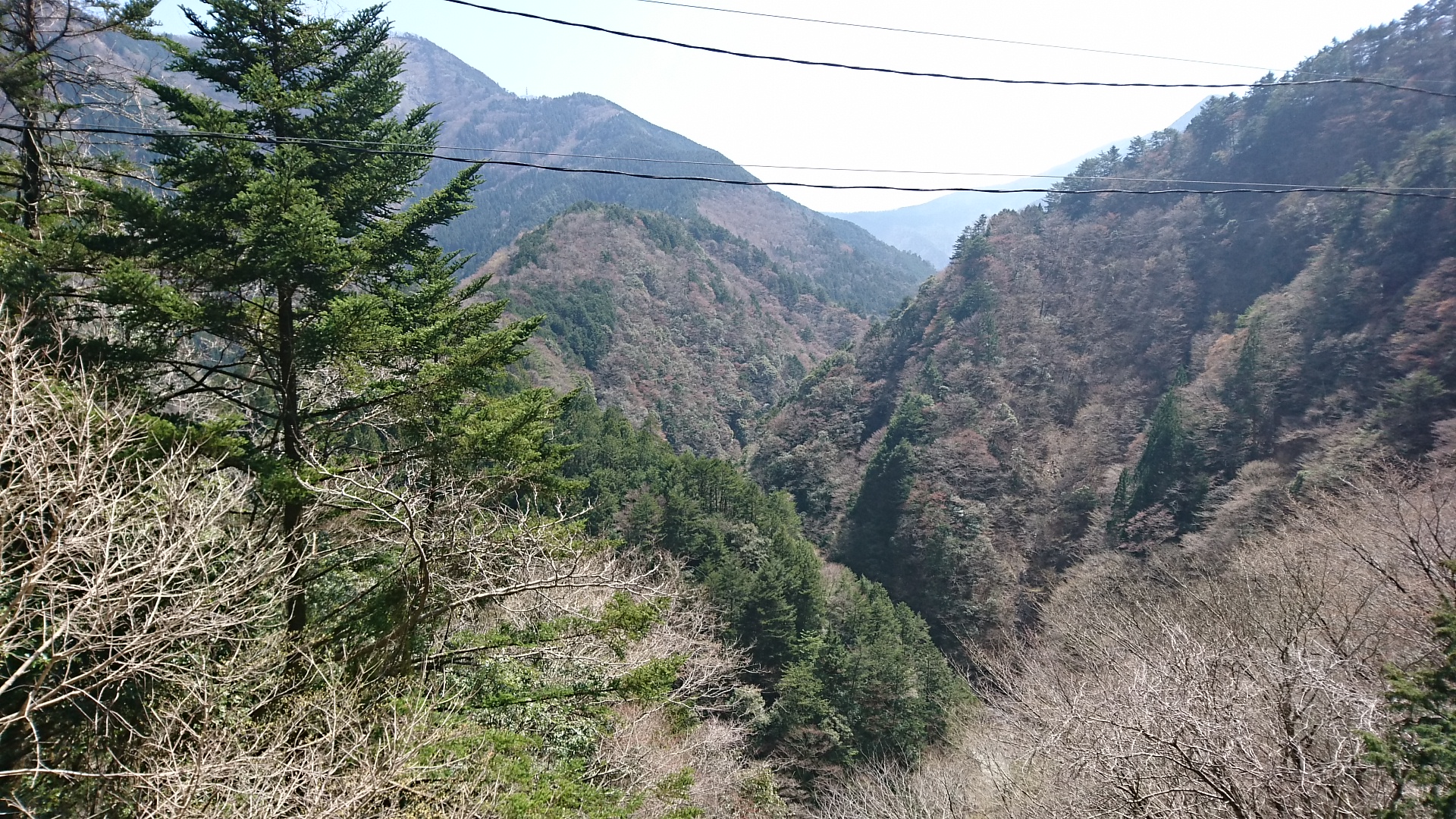 2018.3.28 井川線 (101) 井川いき列車 - 閑蔵-井川間(十二単) 1920-1080