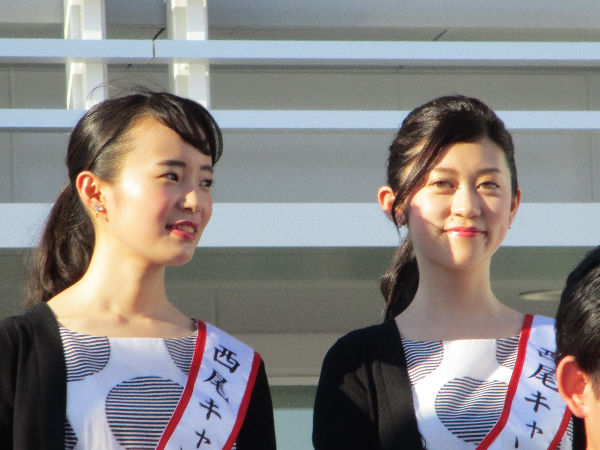 キャンペーンレディ 