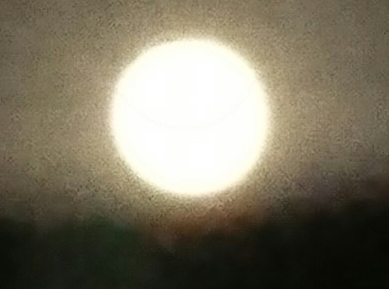 2019.2.20 18:51 おつきさん 780-580