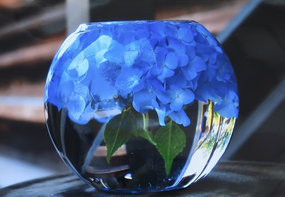 2022.12.11 (7) 市川佳美さん - 水中花 1000-690