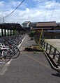 2024.7.15 ふるいのえきのさくら 1150-1600