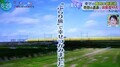 2024.7.25 (10013) ふるいえき - どくたーいえろー 1470-810