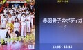 2024.8.7 あかばねほねこのぼでぃーがーど 1400-850