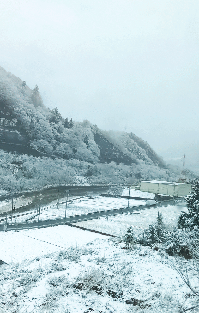 f:id:urechang:20200129015107g:plain f:id:urechang:20200129015107g:plain