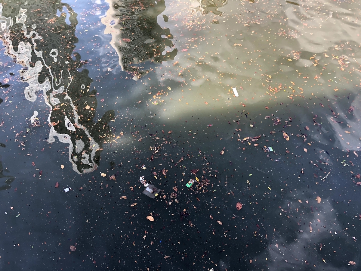 f:id:urechang:20200403011213j:plain