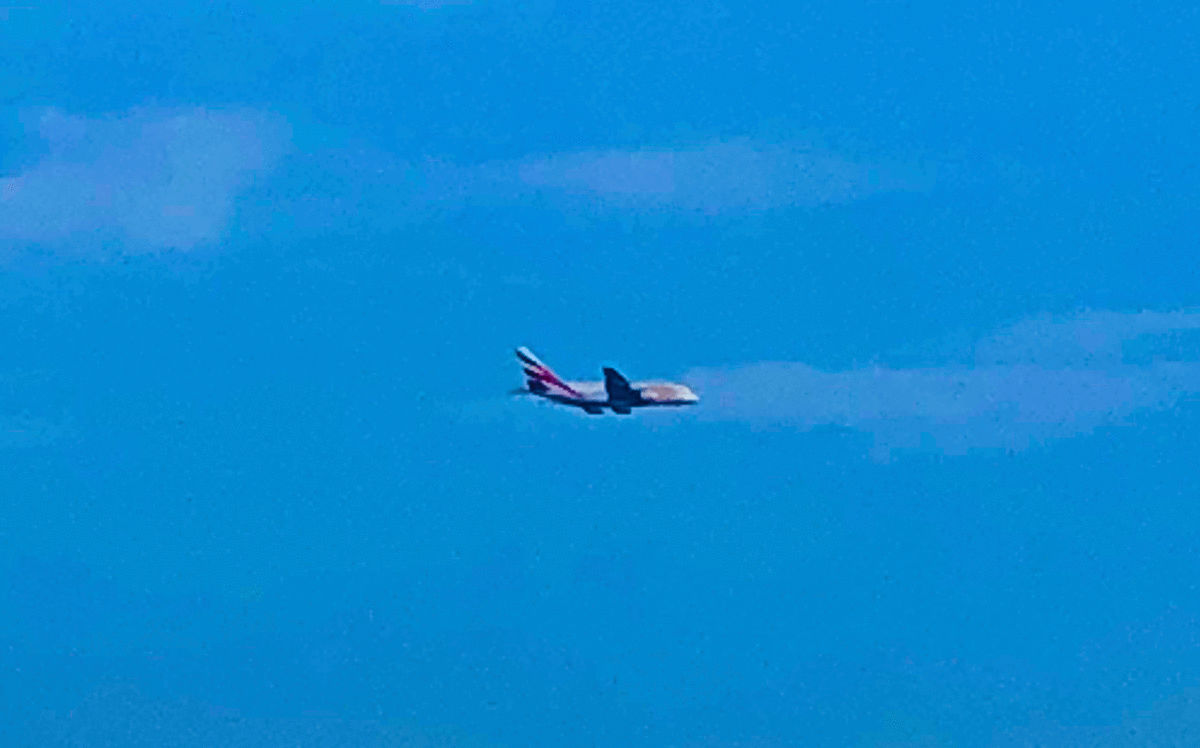 f:id:urechang:20200618143501g:plain