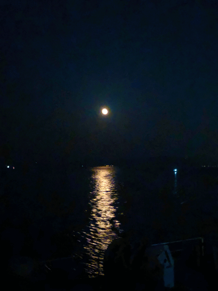 f:id:urechang:20200618143714g:plain