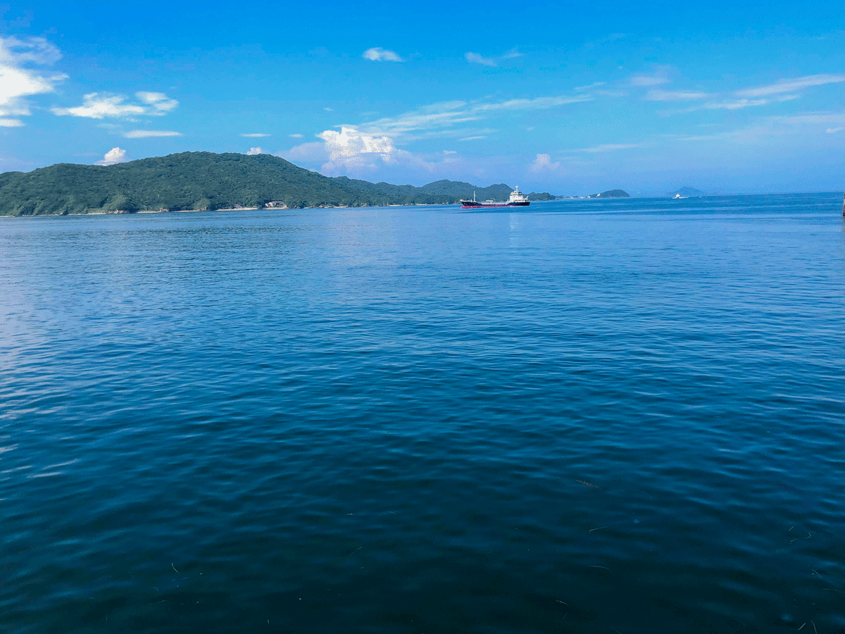 f:id:urechang:20200628113039g:plain