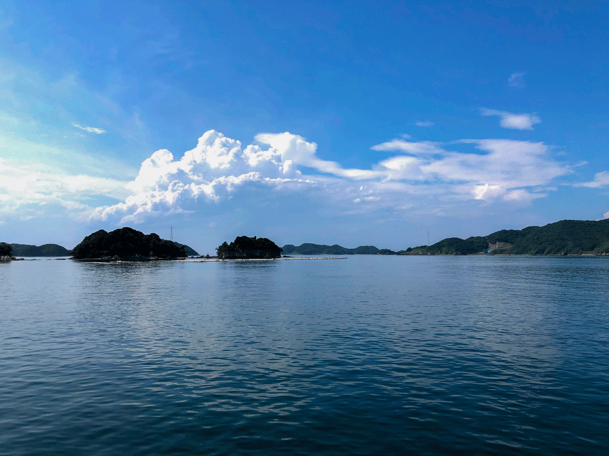 f:id:urechang:20200628113042g:plain