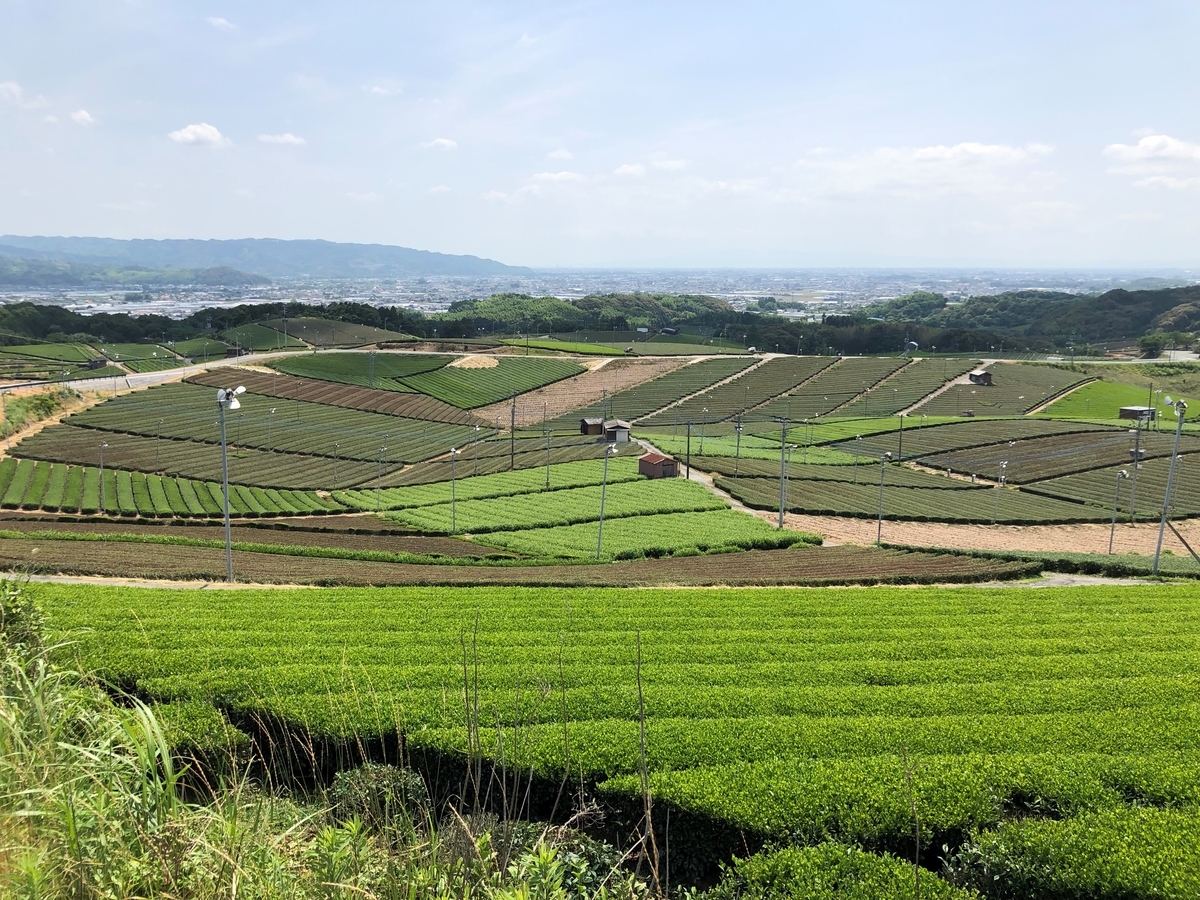 f:id:urechang:20200809012220j:plain