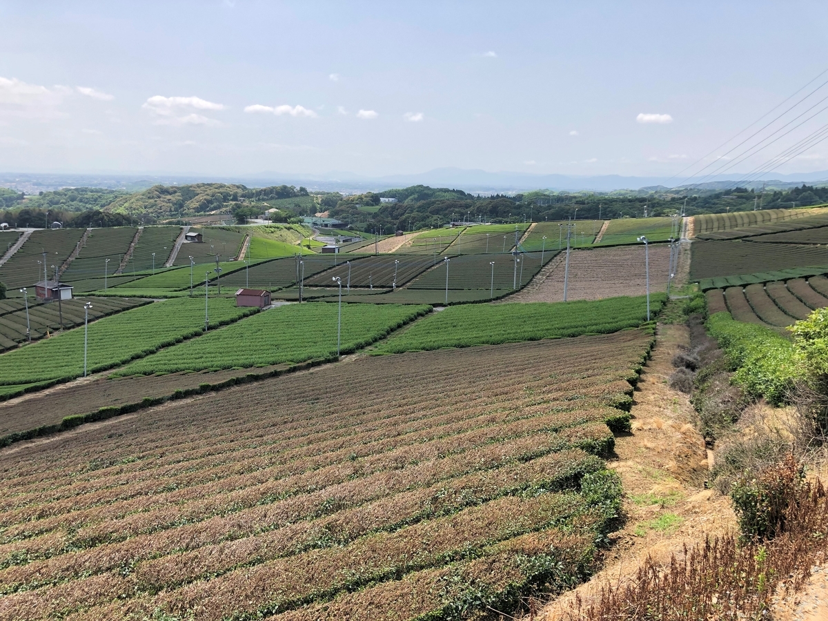 f:id:urechang:20200809012542j:plain