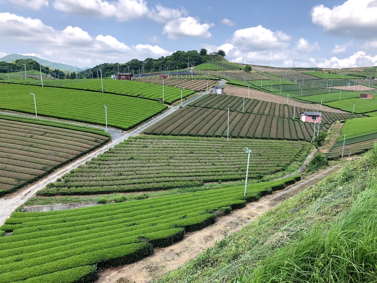 f:id:urechang:20200809012702j:plain