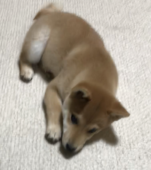 f:id:uretanonatsumu:20180305121351j:plain f:id:uretanonatsumu:20180305121351j:plain