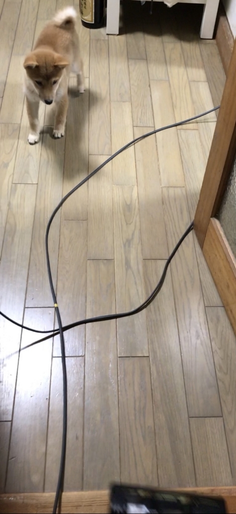f:id:uretanonatsumu:20180312094250j:plain f:id:uretanonatsumu:20180312094250j:plain