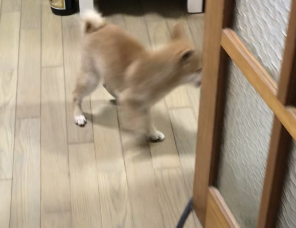 f:id:uretanonatsumu:20180312094328j:plain f:id:uretanonatsumu:20180312094328j:plain