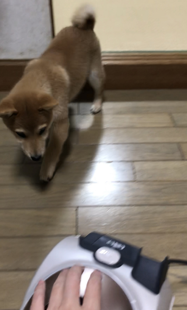f:id:uretanonatsumu:20180312094439j:plain f:id:uretanonatsumu:20180312094439j:plain