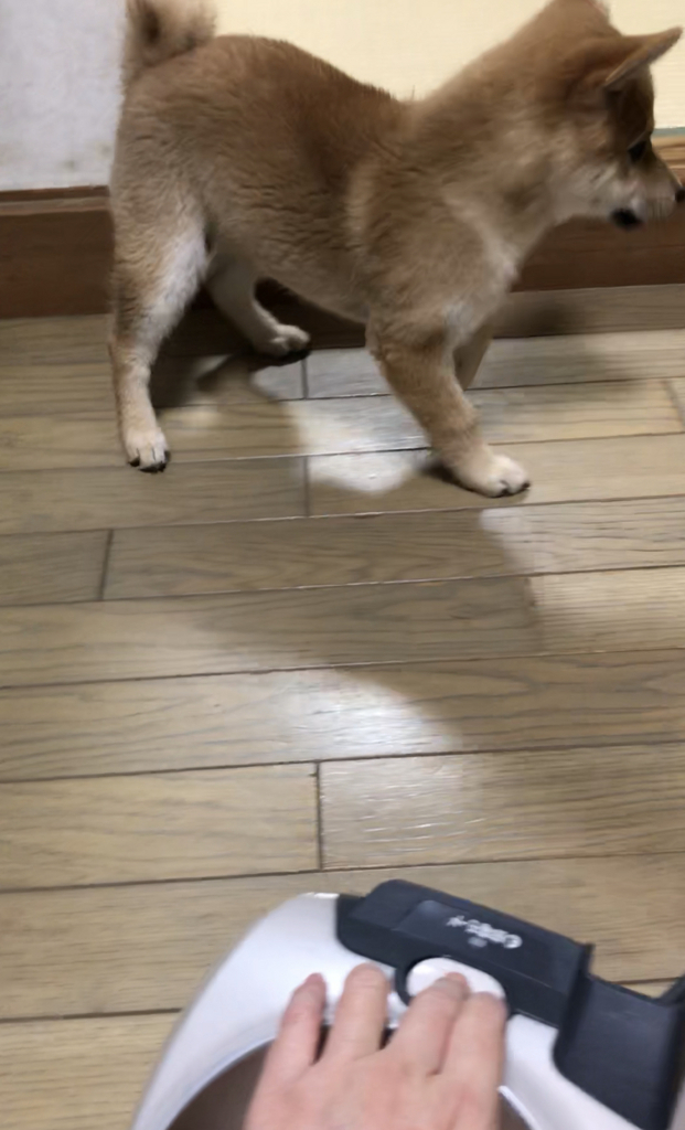 f:id:uretanonatsumu:20180312094452j:plain f:id:uretanonatsumu:20180312094452j:plain