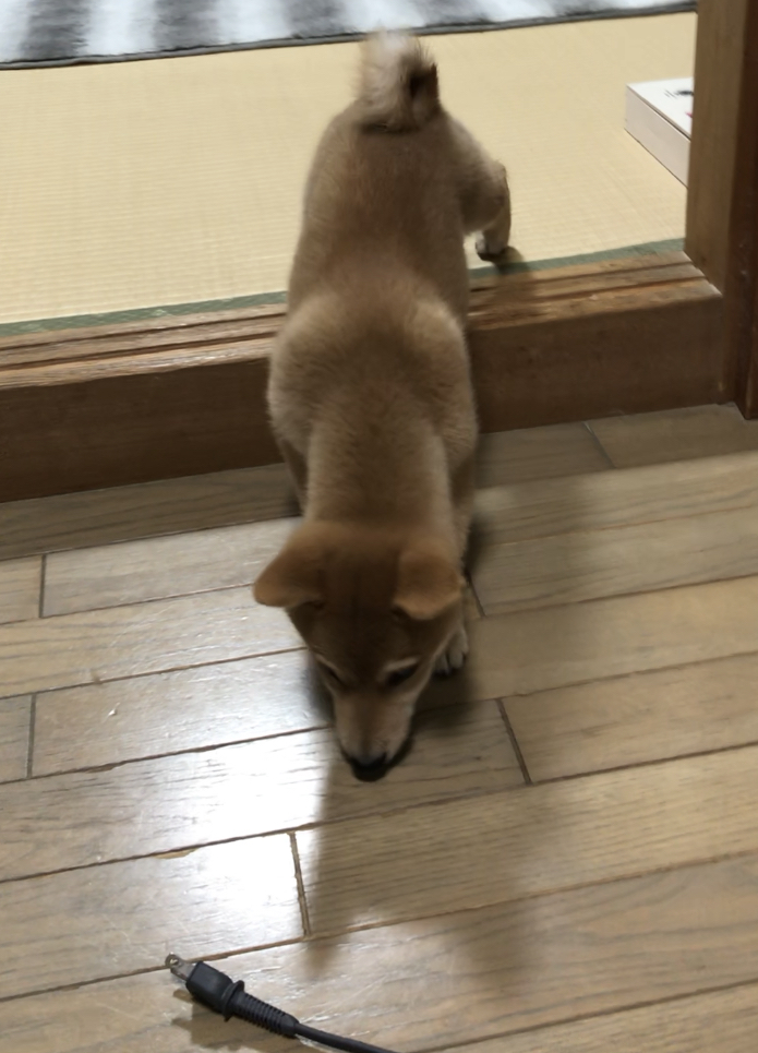 f:id:uretanonatsumu:20180312094522j:plain f:id:uretanonatsumu:20180312094522j:plain