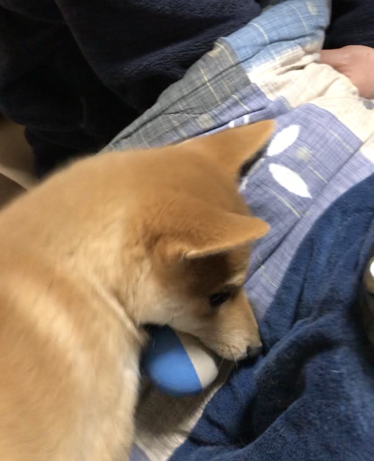 f:id:uretanonatsumu:20180323090336j:plain f:id:uretanonatsumu:20180323090336j:plain