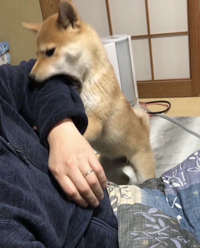 f:id:uretanonatsumu:20180323090606j:plain f:id:uretanonatsumu:20180323090606j:plain